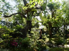 -Chom Cafe and Restaurant