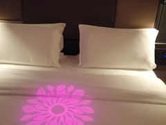 -桔子酒店(合肥三孝口地铁站店)