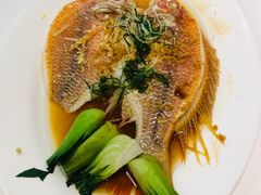 -新兴家喻酒家·羊城名宴(昌岗店)