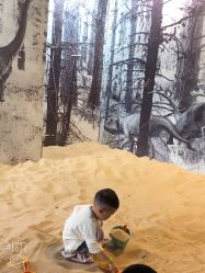 -恐龙探索乐园(磁器口店)