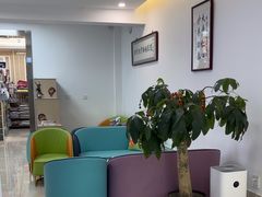 -北京观赏动物医院·24小时大型综合·猫专科·异宠专科