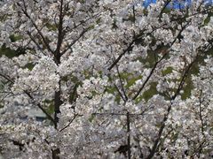 -湘湖金融镇
