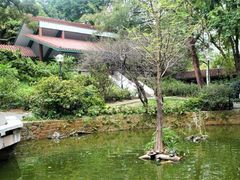 -九龙公园