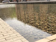 -中国艺术研究院油画院