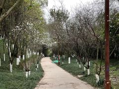-重庆彩云湖湿地公园