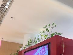 -老板恋上鱼(恒隆广场店)