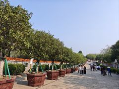-广州莲花山旅游区
