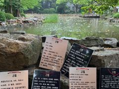 -人民公园-相亲角