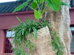 -闽粤南澳总镇府