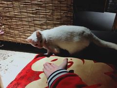 -驿舍·民國老营房院子私房菜(科学会堂店)