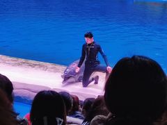 -华夏文旅海洋公园