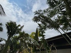 -亚龙湾中心广场