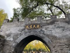 -大槐树寻根祭祖园