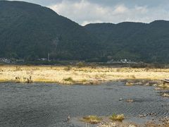 -腾冲北海湿地