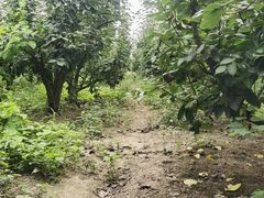 -美家乐农庄·露营·团建(大治路店)