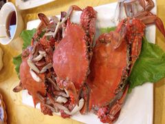 小芳海鲜厅-合家小菜餐馆(新诚花苑店)