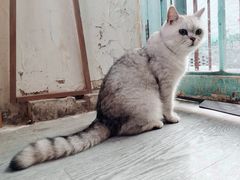 -小时光咖啡馆(北锣鼓巷店)