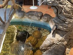 -御膳粥·牛乳粥底火锅·地道顺德菜(容桂店)