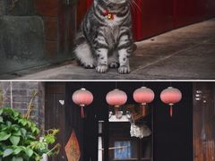 -东关街美食广场