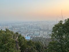 -杭州半山国家森林公园