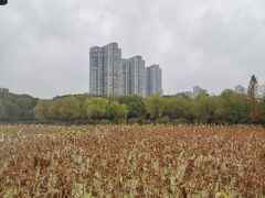 -高子水居