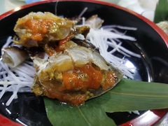 -渔娘渔家丹东海鲜(东直门店)