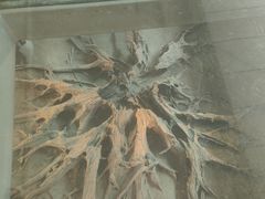 -金沙遗址博物馆