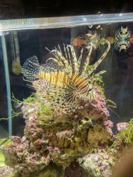 -Zoolung Zoolung动物主题公园(海信广场店)