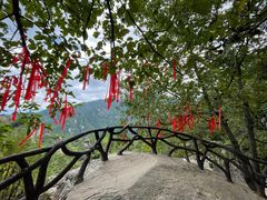 -秦岭终南山世界地质公园翠华山景区