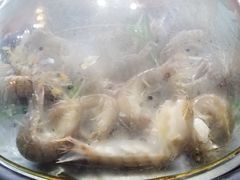 -黄寺蒸汽海鲜(黄寺大街店)