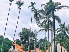 -中国科学院西双版纳热带植物园
