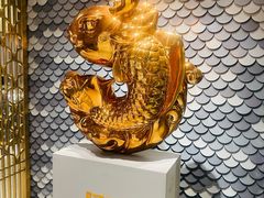 -阿五黄河大鲤鱼(海尚店)