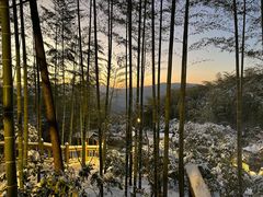-江南天池高山汤泉城