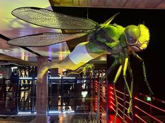 -现代汽车文化中心 Hyundai Motorstudio Beijing