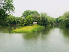 -西溪国家湿地公园