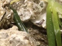 -丁记盐蘸牛肉·新杭菜(河东路店)