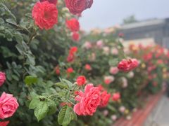 -张记焖窑·十五年专注焖烤(雍和宫店)