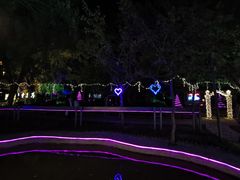 -枫花园汽车电影院(朝阳公园店)