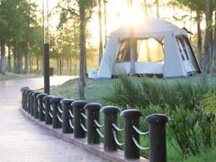 -春花秋色城市公园