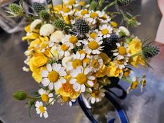 -植物学家的女儿(北马道巷店)