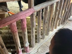 -长鹿旅游休博园