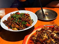 -柴窝堡22号辣子鸡·传承新疆菜