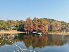 -尚贤河湿地