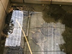 -龟场私房菜