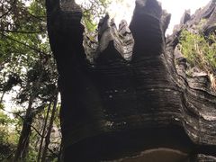 -梭布垭石林景区