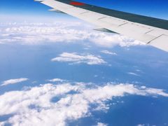 -全日本空输株式会社(上海办事处)