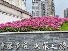 -眉山湿地公园(东坡区)