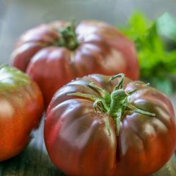 -Oasis Beauty水磨坊科技美肤中心