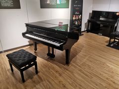 -柏斯音乐艺术中心·钢琴·吉他(上音店)