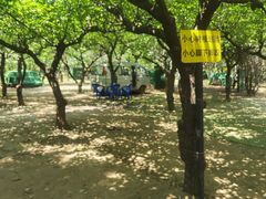 -亲兄弟真人CS团建拓展基地